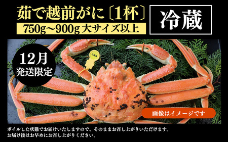 【先行予約】【12月発送限定】茹で越前がに 1杯 750g～900g（大サイズ以上）《新鮮！茹でたてを発送》／ 高級 福井 ブランド ズワイガニ 黄色タグ ボイル 冷蔵 蟹 カニ 期間限定【年内発送 12月23日受付まで】※2026年12月上旬～2026年12月25日の間で発送予定 [aw002-x003_12]