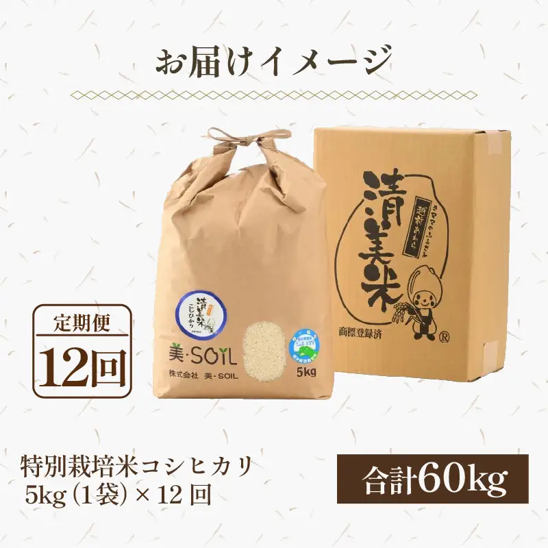【先行予約】【令和8年産 新米】《定期便》5kg×12回 60kg 特別栽培米 コシヒカリ 低農薬 《食味値85点以上！こだわり極上米》 / 福井県 あわら 北陸 米 お米 人気 高品質 鮮度抜群 新米 ※2026年9月下旬より順次発送 [aw032-o006]