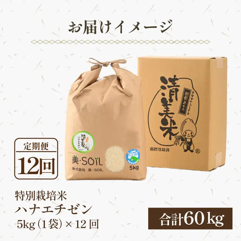 【先行予約】【令和8年産・新米】《定期便》特別栽培米 ハナエチゼン 低農薬 5kg×12回 60kg 《食味値85点以上！こだわり極上米》 / 福井県 あわら 北陸 米 お米 人気 ※2026年9月下旬以降順次発送 [aw032-n004]