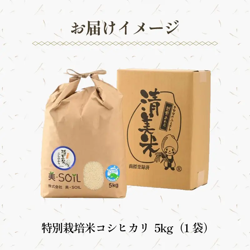 【先行予約】【令和8年産 新米】特別栽培米 コシヒカリ 5kg 精米 低農薬 《食味値85点以上！こだわり精米》 / 福井県 あわら 北陸 米 お米 人気 高品質 鮮度抜群 新米 ※2026年9月上旬より順次発送 [aw032-a015]