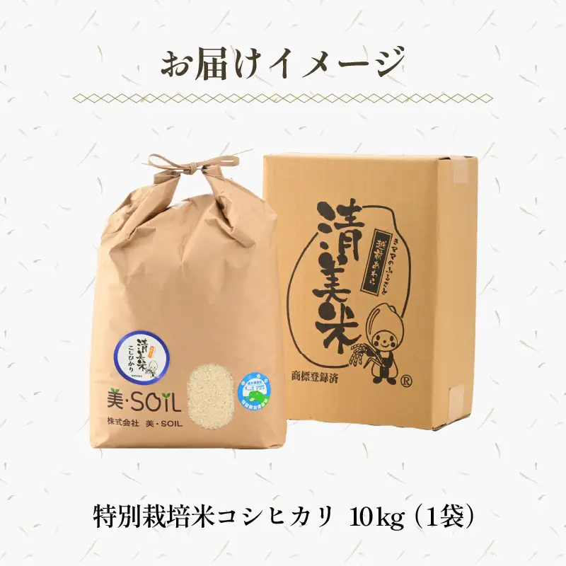 【先行予約】【令和8年産 新米】特別栽培米 コシヒカリ 10kg 低農薬 《食味値85点以上！こだわり極上米》 / 福井県 あわら 北陸 米 お米 人気 高品質 鮮度抜群 新米 ※2026年9月上旬より順次発送 [aw032-c009]