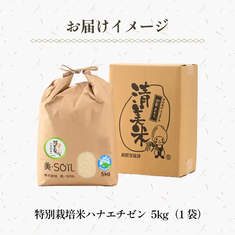 【先行予約】【令和8年産・新米】特別栽培米 ハナエチゼン 5kg  低農薬 《こだわり極上米》 / 福井県 あわら 北陸 米 お米 人気 ※2026年9月上旬以降順次発送 [aw032-a017]