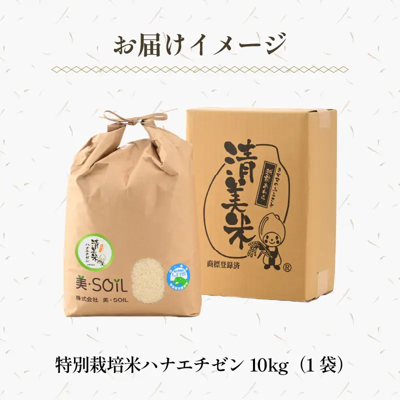 【先行予約】【令和8年産・新米】特別栽培米 ハナエチゼン 10kg  低農薬 《こだわり極上米》 / 福井県 あわら 北陸 米 お米 人気 ※2026年9月上旬以降順次発送 [aw032-c010]