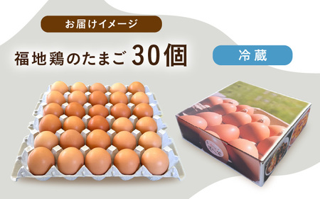 濃厚で甘くておいしい！ 福井ブランド「福地鶏」の卵 30個 ／ 卵 たまご 鶏卵 生卵 有精卵 高級 高級卵 福地鶏 鶏 平飼い 美味しい こだわり 卵かけご飯 料理 あわら市 福井県産 [aw036-a001]
