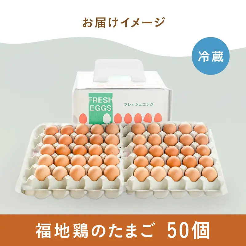 濃厚で甘くておいしい！ 福井ブランド「福地鶏」の卵 50個（25個入×2段） ／ 卵 たまご 鶏卵 生卵 有精卵 高級 高級卵 福地鶏 鶏 平飼い 美味しい こだわり 卵かけご飯 料理 あわら市 福井県産 [aw036-a002]