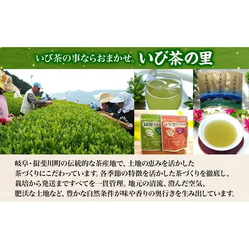＜4ヶ月連続 定期便＞美濃揖斐茶 初摘み 一番茶 上級 深蒸し煎茶 80g 3袋 農林水産大臣賞受賞 お茶 日本茶 緑茶 茶葉 煎茶 GAP認証茶 国産 深蒸し茶 お茶葉 お茶っ葉 産地直送 いび茶の里 送料無料 岐阜県 揖斐川町