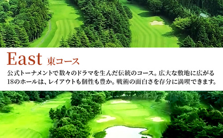 ゴルフ場 千葉 姉ヶ崎カントリー倶楽部 セルフプレー 平日のみ 1名様 ゴルフ 関東 チケット ゴルフ場利用券 プレー券 施設利用券 
