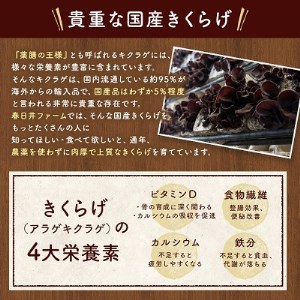パンダこんにゃく（国産きくらげ入りこんにゃく）24個