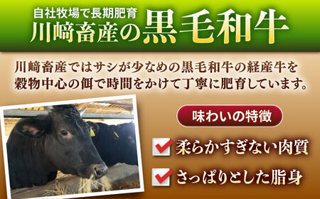 肉厚ジューシーハンバーグ（140g×8個）/ ハンバーグ [IAX001]