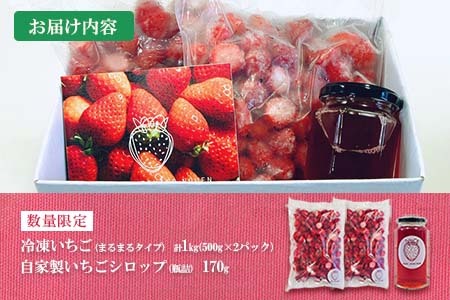 グランプリ受賞 数量限定 冷凍いちご シロップ付 計1kg+170g 【まるまるタイプ】 果物 くだもの フルーツ 苺 国産 自家製 スムージー イチゴジャム おやつ デザート 詰め合わせ 小分け 産地直送 おすそ分け 贈り物 ギフト 宮崎県 日南市 送料無料_BAV3-24