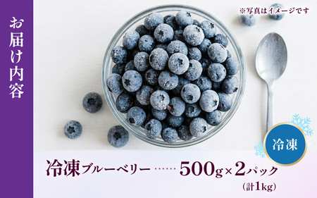 無農薬 ブルーベリー 冷凍 1kg ベリー【mnak0002A】