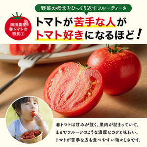 トマト 2kg トマトの一番星 野菜 とまと 完熟 高糖度 甘い 受賞 冷蔵配送