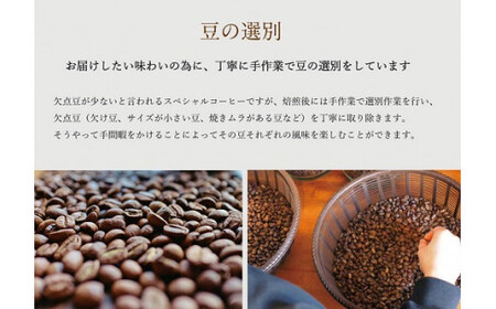 【1ヶ月ごとの定期便】 OTOMONI COFFEE 店主 お勧め 豆をお届け！２５０g×１袋「豆」OT7 コーヒー 珈琲 焙煎 自家焙煎 豆 粉 選べる COFFEE おすすめ くつろぎ おうち時間 定期便 M1640-0
