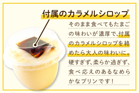 あさひのギフトセット（２５）【えごま玉子 6個入り プリン 無添加 3個 茶碗蒸し 3個 味付けたまご 1パック 厚焼たまご 1パック 玉子とうふ 1パック えごまドレッシング 1本 卵】