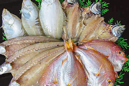 【訳あり】魚の干物おまかせ詰合せセット（のどぐろ入り） 【干物 4～5種 ランダム お楽しみ 島根県産 大田市 魚介類 のどぐろ 白いか アジ カレイ 無添加 天日塩 減塩仕立て 冷凍】