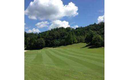 セントフィールド ゴルフ場 割引券×15 T50-01