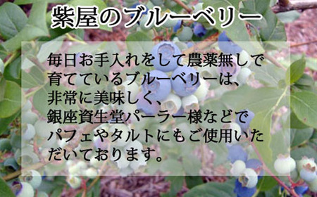 無農薬 自然農園紫屋ジェラート12個セット