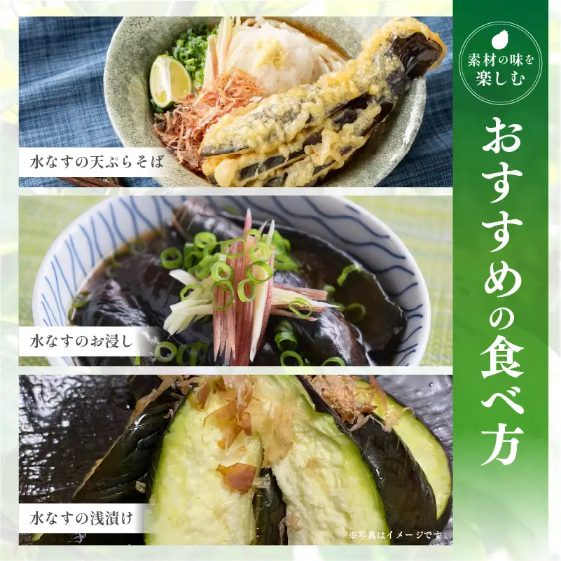 特選 無添加 水なす漬け 徳用水ナス セット