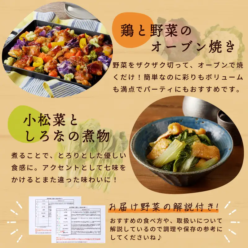 季節の泉州野菜 12種 おまかせセット ピクルスの素 2袋付き