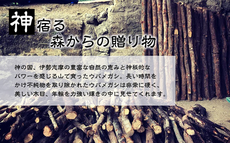 伊勢志摩備長炭 シルバー チェーンネックレス ギフト 伝統工芸［ネックレス］