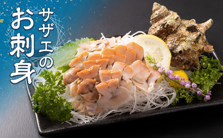 活きサザエ Aコース 1kg（8～12ヶ入り）山金商店 サザエ