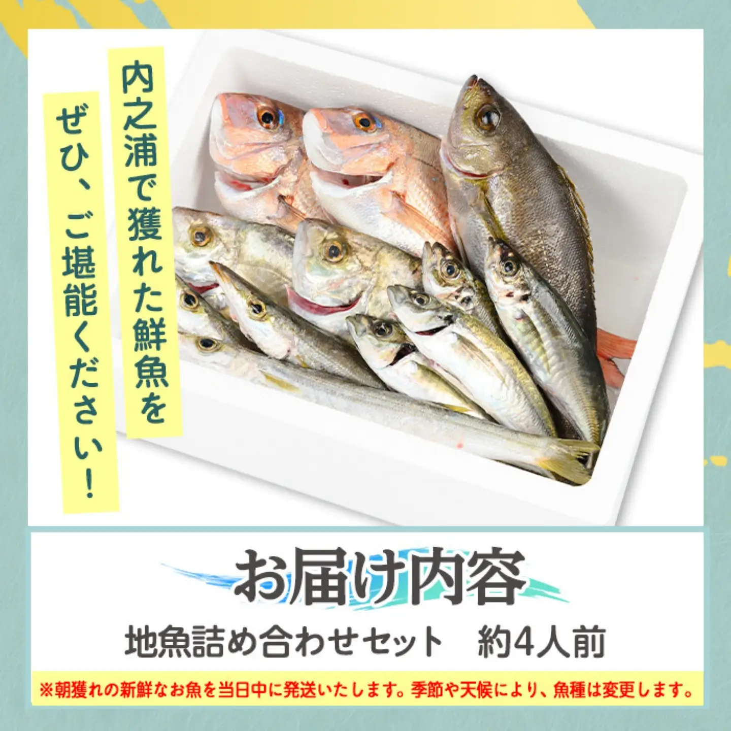 【ふるなびWEEK対象】【A09002】地魚 詰め合わせ セット 約4人分 産地直送 鮮魚ボックス 鮮魚BOX【マルケイ水産】