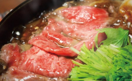 【定期便】おおいた豊後牛  切り落とし 500g×4ヶ月 計2kg