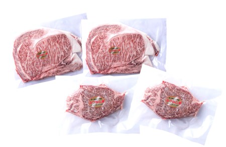 北海道産 黒毛和牛 みついし牛 A5  サーロイン＆ヒレステーキ 約800g 4枚 (各2枚) フィレ ヘレ