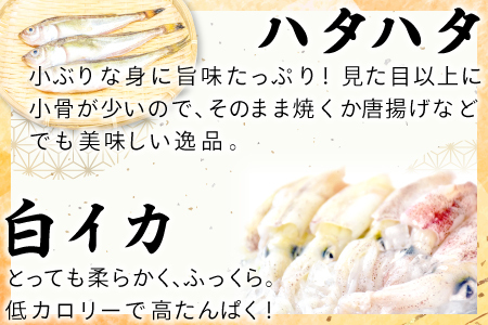 定番の干物５種詰合せセット【干物セット 人気 ノドグロ アジ エテカレイ ハタハタ 白いか のどぐろ 鯵 鰈 鰰 白イカ 島根県産 島根県沖 一夜干し 干物 ひもの 魚 高級魚 贈答 ギフト お取り寄せグルメ お中元】