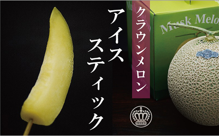 【定期便】クラウンメロン　アイススティック10本入（12か月連続お届け） 果物類 メロン青肉 シャーベット 12ヶ月 12回 1年 