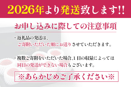 ［2026年発送］先行予約 希少！国産＜新富ライチ＞40g前後×10玉 国産 ブランド フルーツ 果物 贈答品【B120-26】