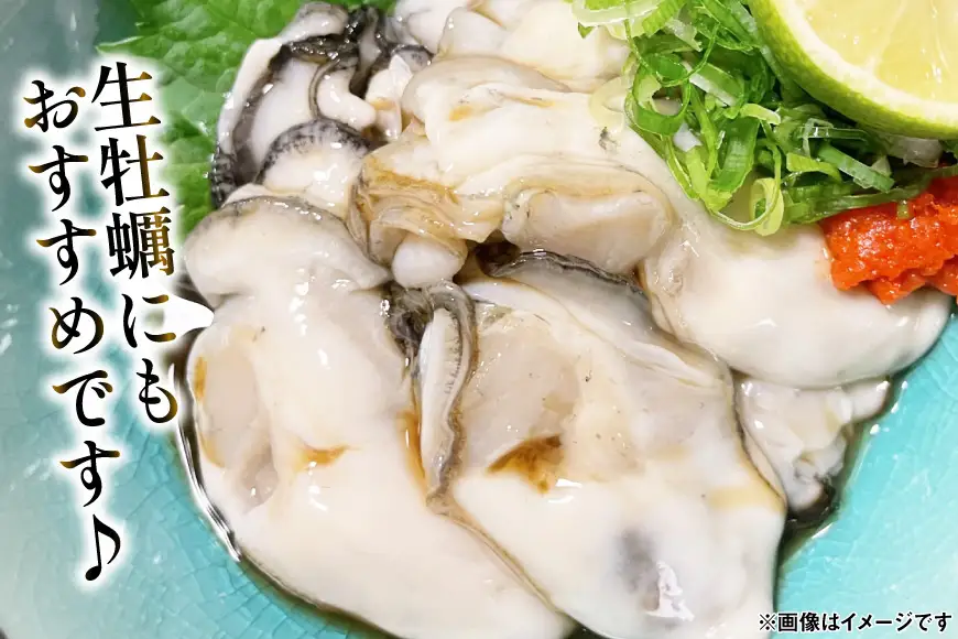 【ZIP！で紹介されました】気仙沼 完熟牡蠣のドレッシング150ml×1個 [石渡商店 宮城県 気仙沼市 20563410]