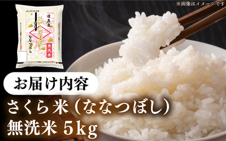 【令和7年産】【無洗米】 一等米 さくら米（ななつぼし）5kg 北海道 コメ こめ ブランド 銘柄 [AXAB033]
