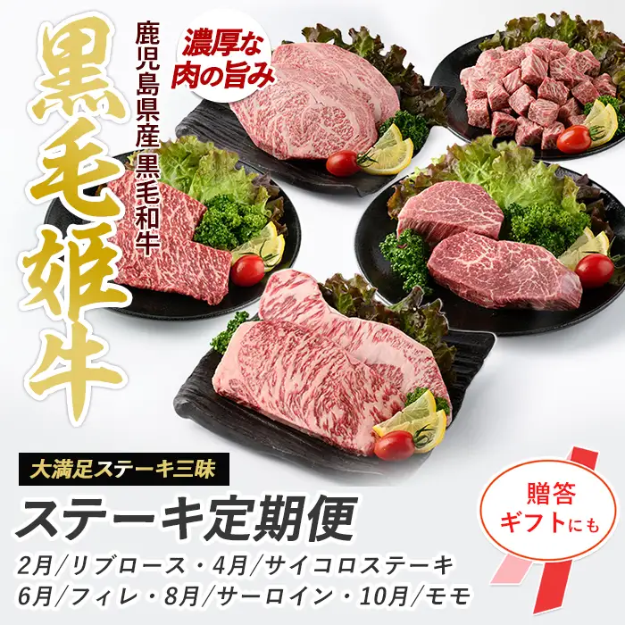 全5回定期便 大満足 ステーキ三昧 定期便 Meat you IBZ029-001 牛肉