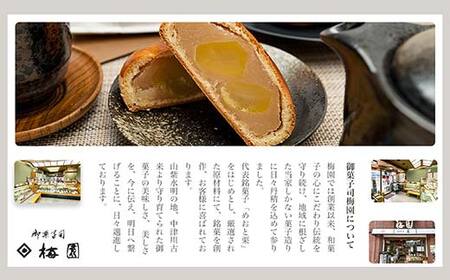 ＜御菓子司梅園＞ めおと栗5個入（簡易包装） F4N-1595