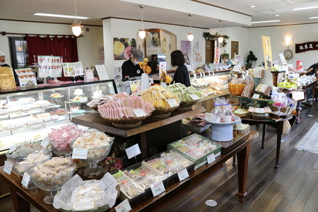 ガーデンハックルベリーどら焼 21個入り 新感覚濃厚クリーム 岩手県奥州市産ガーデンハックルベリー使用[N0004]