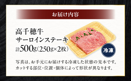 宮崎県産黒毛和牛A4等級以上 高千穂牛サーロインステーキ 250g×2枚 計500g 牛肉 肉 お肉 サーロイン ステーキ ステーキ肉 ブランド牛 和牛 国産牛 国産黒毛和牛 贈り物 贈答 ギフト プレゼント お祝い 内祝い グルメ 記念日 _Tk002-063