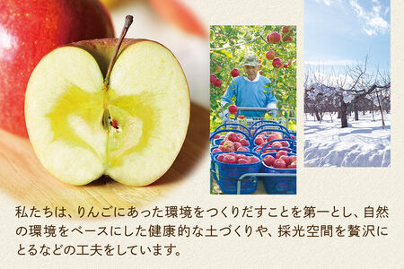 シードル タムラシードルセット TF-TSTB（BRUT・SEC 750ml×各1本 計2本） 青森県弘前市 タムラファーム