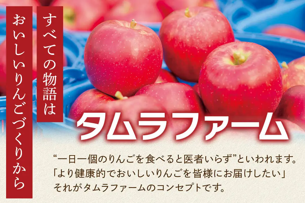 シードル タムラシードルセット TM-SD（SWEET・DRY 500ml×各1本 計2本） 青森県弘前市 タムラファーム