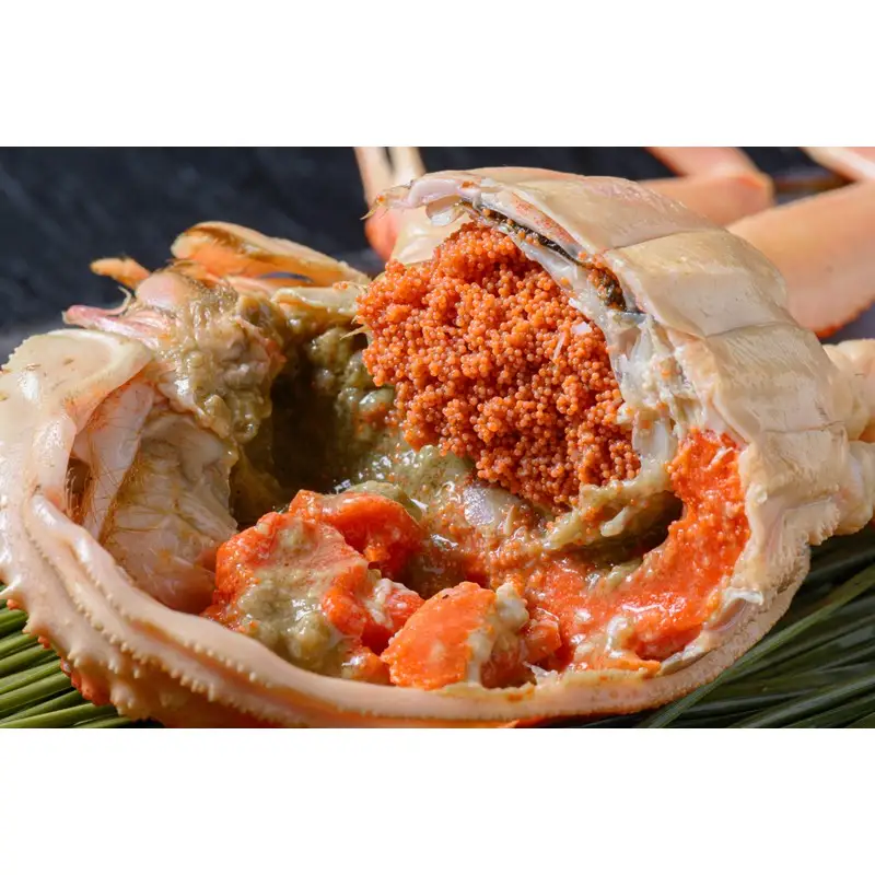 【蟹の匠 魚政】内子外子が美味! 茹でたて セイコガニ（セコ蟹）（香箱ガニ）（こっぺ）特大サイズ 5匹セット かに