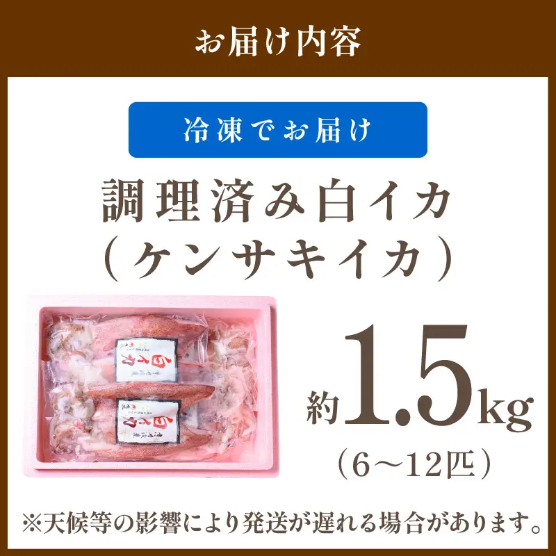 【先行予約】白イカケンサキ正味1.5kg しろいか