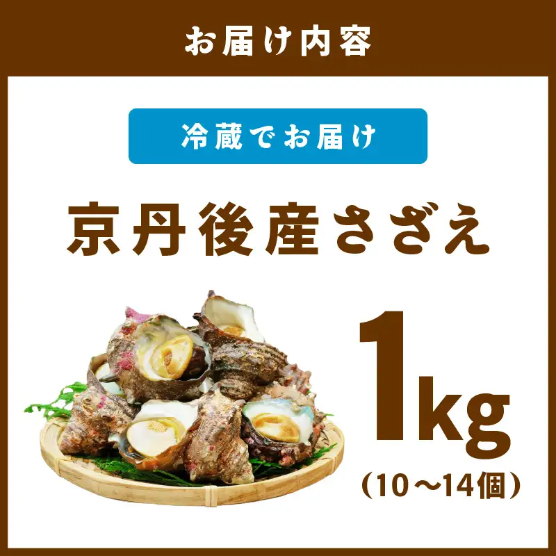 京丹後産さざえ1kg！活けサザエ