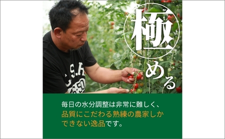 高糖度やりすぎトマト 約1kg | 夏発送 トマト