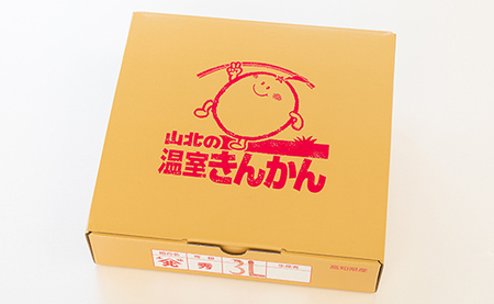 【先行受付】きんかん 約1kg 完熟 きんかん ku-0032