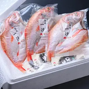 【先行予約】【海鮮の匠 魚政】のどぐろ一夜干し（ノドグロ、のど黒、アカムツ）400g級使用 3尾セット 一夜干し・のどぐろ 干物セット 大サイズ 冷凍