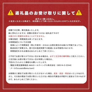 【現在入荷次第順次発送中！】【島獲れ活さざえ5㎏セット】日本海の離島の新鮮なさざえを約50匹お届けします! 【冷蔵便 サザエ 栄螺 貝 海鮮　BBQ さざえご飯 壺焼き 刺身】