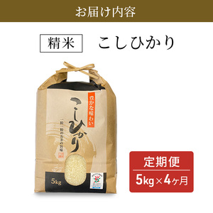 【寄附額見直しました】定期便 米 5kg×4ヶ月 コシヒカリ 豊かな郷の近江米 令和7年産 こめ