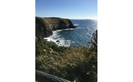 城ケ島港屋 素泊まりペア宿泊券 M065-001 チケット 体験