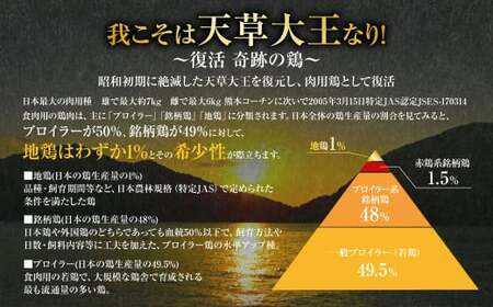 天草大王まんぷく鍋セット