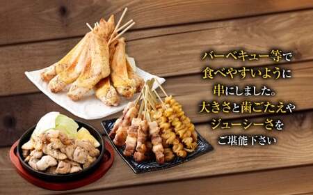 天草大王プレミアムバーべキューセット(大)